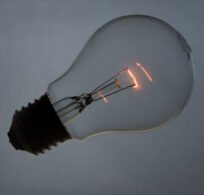 bulb